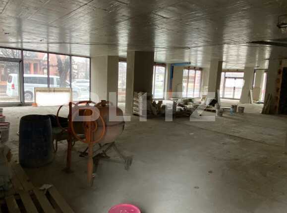 Spațiu comercial de închiriat Dambovita - 77641SIC | BLITZ Timișoara | Poza1