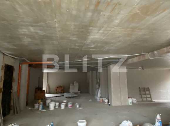 Spațiu comercial de închiriat Dambovita - 77641SIC | BLITZ Timișoara | Poza4