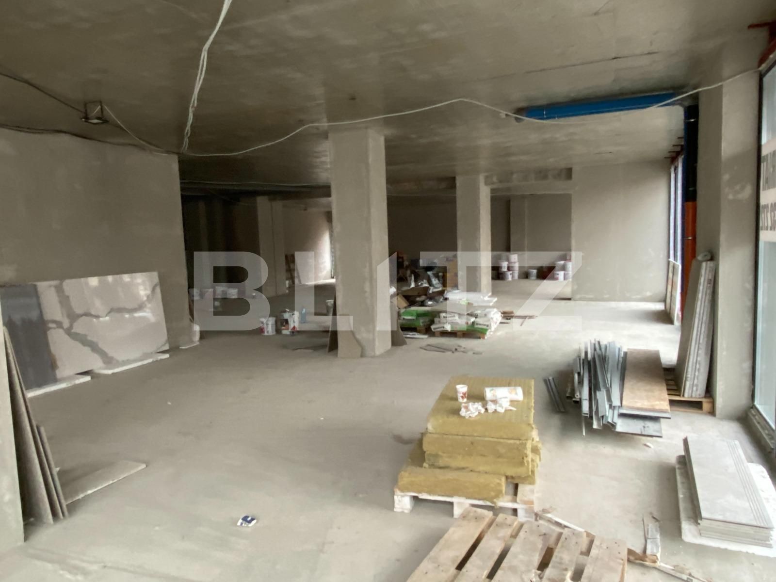 Spațiu comercial de închiriat Dambovita - 77641SIC | BLITZ Timișoara | Poza2