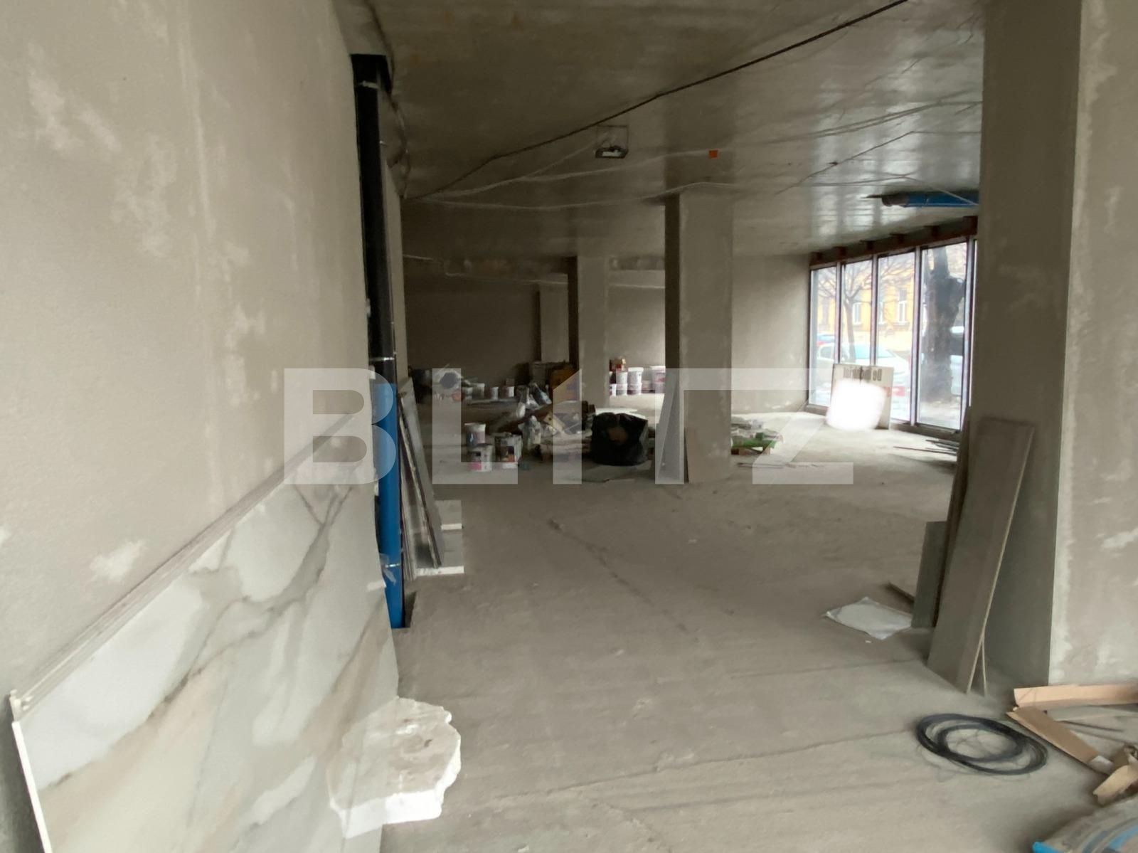 Spațiu comercial de închiriat Dambovita - 77641SIC | BLITZ Timișoara | Poza3