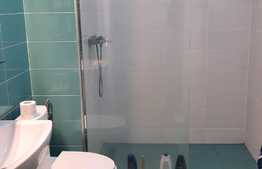 Oportunitate, casa mare de vanzare pentru locuit sau business in Timisoara!