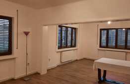 Oportunitate, casa mare de vanzare pentru locuit sau business in Timisoara!