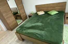 Apartament de 2 camere, decomandat, ultramodern, zona Torontalului