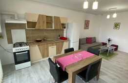 Apartament de 2 camere, decomandat, ultramodern, zona Torontalului