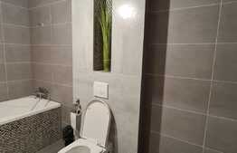 Vila mare, deosebita cu teren de 680 mp, 210 mp utili, Calea Urseni