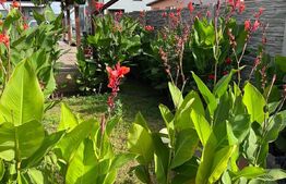 Vila mare de vanzare, teren 600 mp parcela, 300 mp utili, Dumbravita!