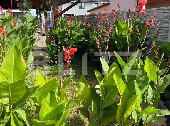 Casa de vânzare 6 camere Dumbravita - 77733CV | BLITZ Timișoara | Poza10