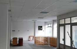 Oportunitate investitii, minihotel de vanzare in Timisoara in suprafata de 1100 mp!!!