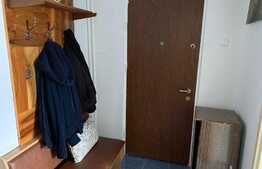 Apartament de 2 camere, izolat exterior si interior, zona Torontalului