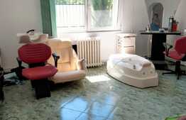 Casă unifamilială cochetă în Plopi