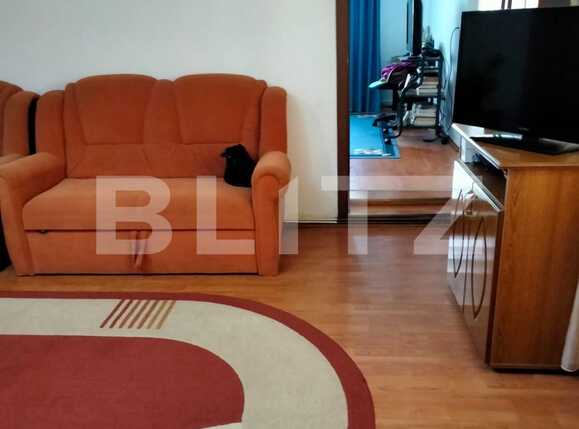 Casa de vânzare 4 camere Plopi - 77761CV | BLITZ Timișoara | Poza7