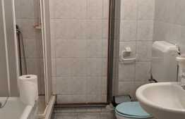 Casa cu 5 camere, 419 mp teren, Zona Girocului 