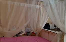 Apartament de lux 2 camere, 46 mp, parcare, zona Muzicescu