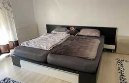 Casă cu suprafaţă utilă 120 mp şi teren de 220 mp în Dumbrăviţa