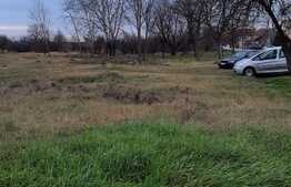 Oportunitate investitii, 4600 mp teren intravilan vanzare, pozitionat foarte bine in Braytim