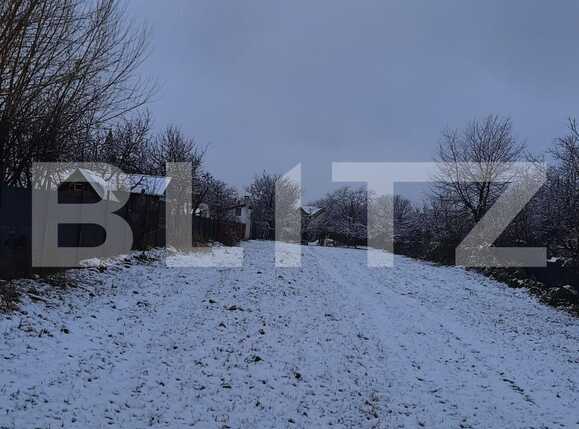 Teren de vânzare Calea Urseni - 78079TV | BLITZ Timișoara | Poza3