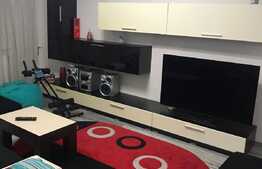 Apartament spatios de 2 camere, modern, in zona Lipovei