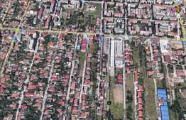 Teren cu suprafaţă de 1039 mp şi front stradal de 6 ml în Fratelia