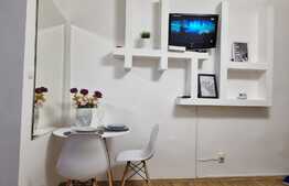 Garsoniera cocheta la prima inchiriere, zona Freidorf