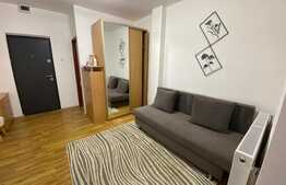 Garsoniera cocheta la prima inchiriere, zona Freidorf