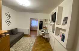 Garsoniera cocheta la prima inchiriere, zona Freidorf