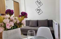 Garsoniera cocheta la prima inchiriere, zona Freidorf