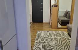 Garsoniera cocheta la prima inchiriere, zona Freidorf