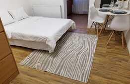 Garsoniera cocheta la prima inchiriere, zona Freidorf