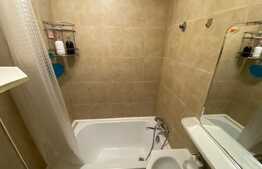 Garsoniera cocheta la prima inchiriere, zona Freidorf