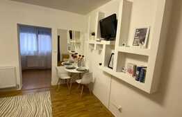 Garsoniera cocheta la prima inchiriere, zona Freidorf