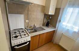 Garsoniera cocheta la prima inchiriere, zona Freidorf