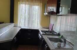 Clădire P+E+M de 563 mp utili, 841 mp teren, Fabric