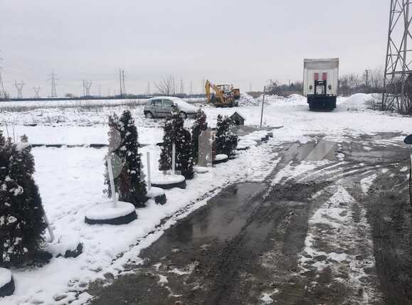 Teren de vânzare Buziasului - 78393TV | BLITZ Timișoara | Poza1