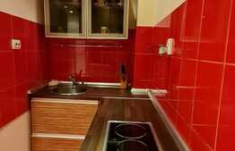 Apartament mobilat modern de 2 camere, 41 mp, zona ISHO 