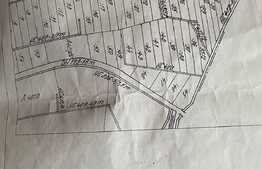 Teren extravilan cu suprafata de 4000 mp, Calea Lugojului 