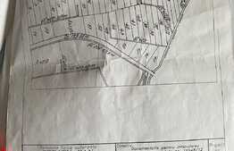 Teren extravilan cu suprafata de 8000 mp, Calea Lugojului