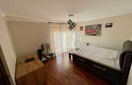 Casa deosebita in Dumbravita, 653 mp teren, 330 mp utili