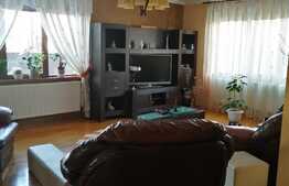 Casa deosebita in Dumbravita, 653 mp teren, 330 mp utili