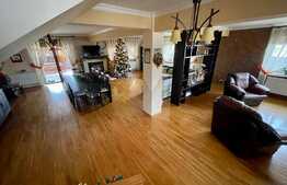 Casa deosebita in Dumbravita, 653 mp teren, 330 mp utili