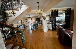 Casa deosebita in Dumbravita, 653 mp teren, 330 mp utili