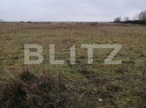 Teren de vânzare Ciarda Rosie - 78520TV | BLITZ Timișoara | Poza1