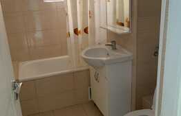 Apartament semidecomandat, modern, de 2 camere, zona Calea Aradului