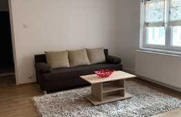 Apartament semidecomandat, modern, de 2 camere, zona Calea Aradului