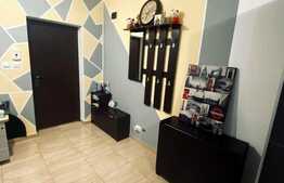 Apartament 2 camere, 50 mp, pe Calea Timișoarei în Giroc