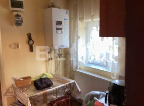 Casa de vânzare 2 camere Buziasului - 78612CV | BLITZ Timișoara | Poza6