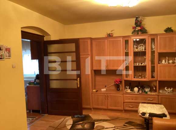 Casa de vânzare 2 camere Buziasului - 78612CV | BLITZ Timișoara | Poza2
