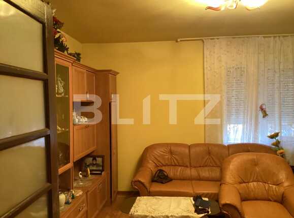 Casa de vânzare 2 camere Buziasului - 78612CV | BLITZ Timișoara | Poza5