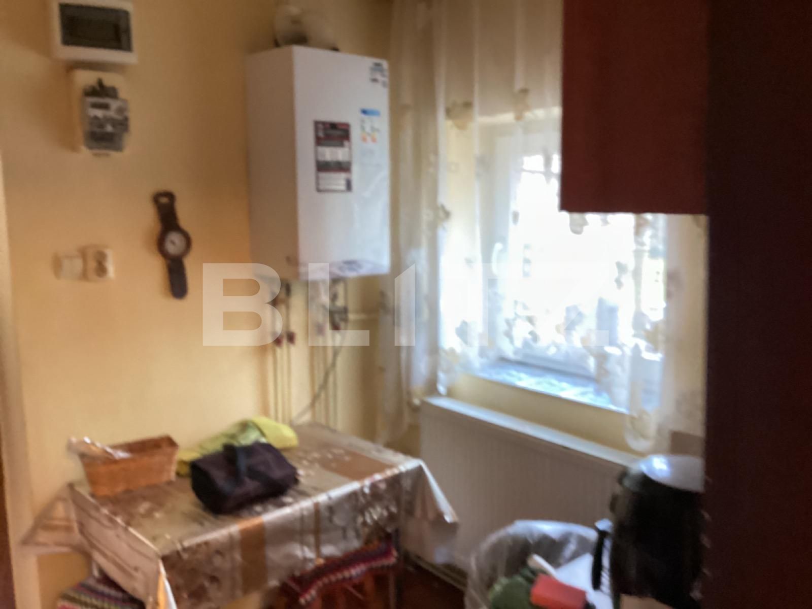 Casa de vânzare 2 camere Buziasului - 78612CV | BLITZ Timișoara | Poza6