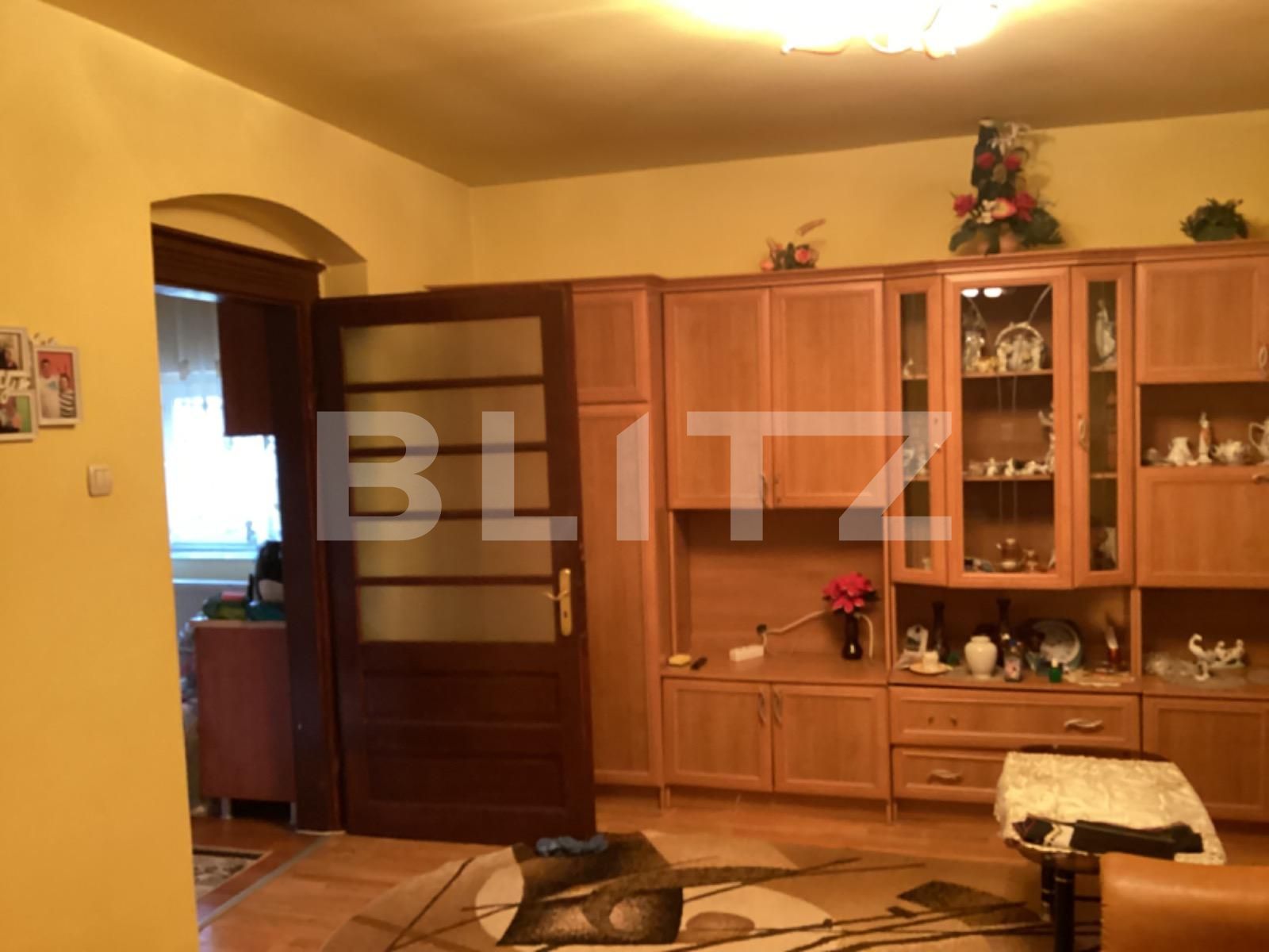 Casa de vânzare 2 camere Buziasului - 78612CV | BLITZ Timișoara | Poza2