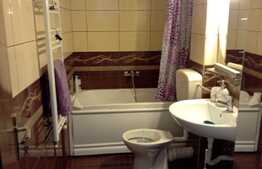 Apartament de 2 camere mobilat si utilat, zona Iulius Mall